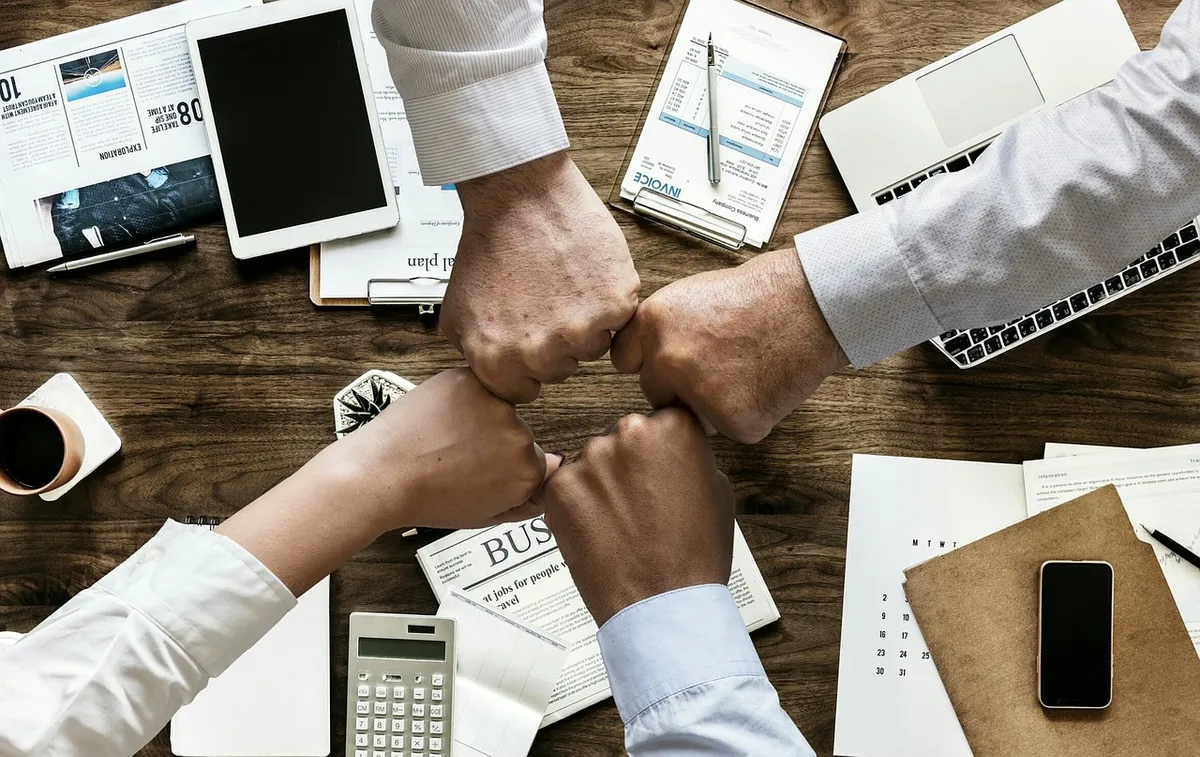 EXPÉRIENCE COLLABORATEUR