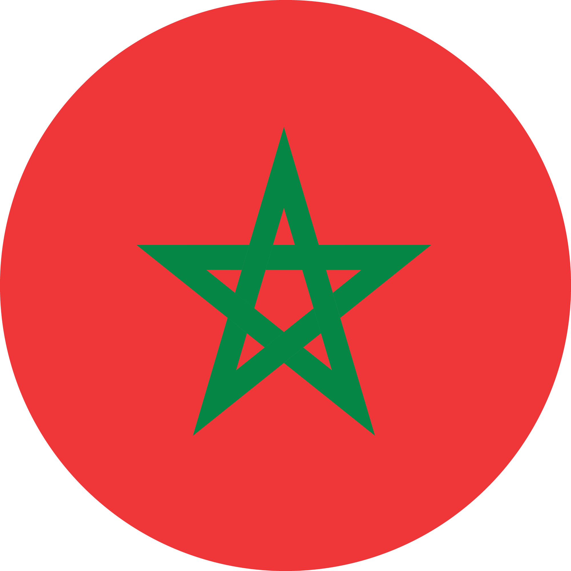 Moroccan Flag